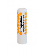 Propolino Lippenpflege-Stift Imkergut.